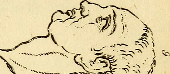 An illustration from Essays on physiognomy; calculated to extend the knowledge and the love of mankind, 1797, leaf 272