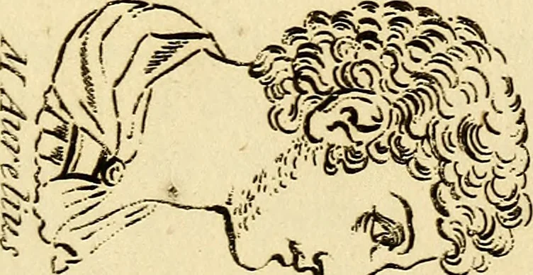 An illustration from Essays on physiognomy; calculated to extend the knowledge and the love of mankind, 1797, leaf 272