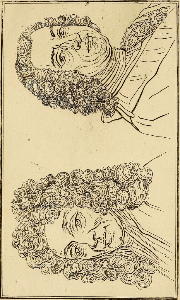 An illustration from Essays on physiognomy; calculated to extend the knowledge and the love of mankind, 1797, leaf 279