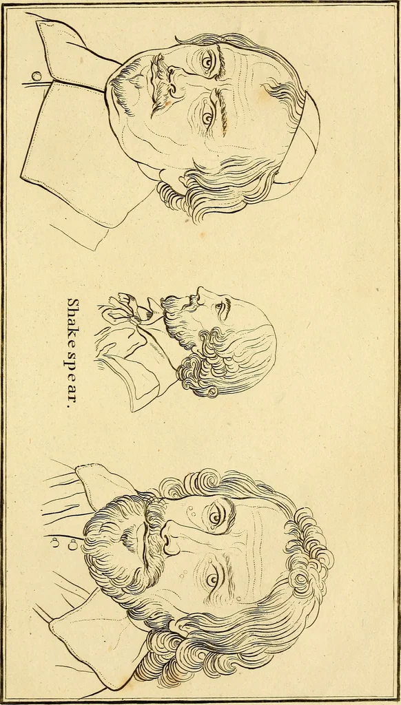 An illustration from Essays on physiognomy; calculated to extend the knowledge and the love of mankind, 1797, leaf 284