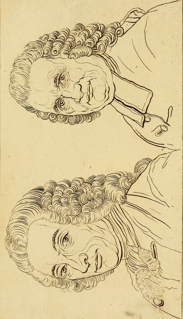 An illustration from Essays on physiognomy; calculated to extend the knowledge and the love of mankind, 1797, leaf 289