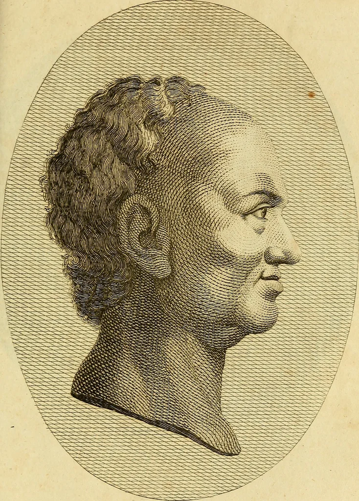 An illustration from Essays on physiognomy; calculated to extend the knowledge and the love of mankind, 1797, leaf 292