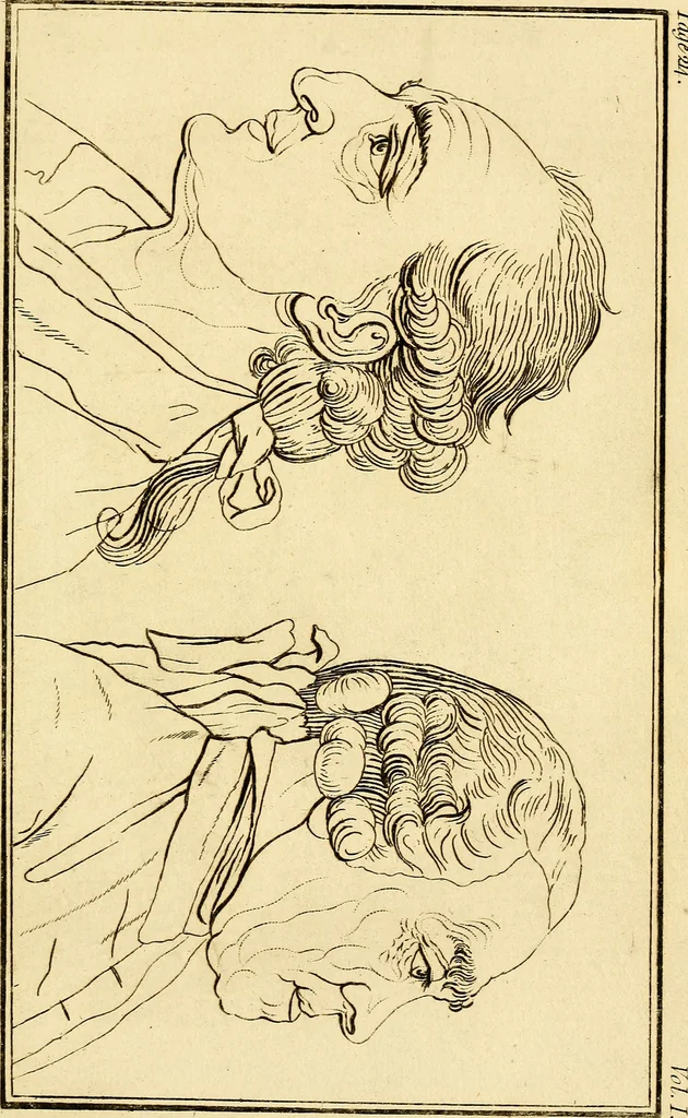 An illustration from Essays on physiognomy; calculated to extend the knowledge and the love of mankind, 1797, leaf 322