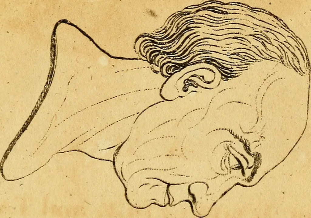 An illustration from Essays on physiognomy; calculated to extend the knowledge and the love of mankind, 1797, leaf 330