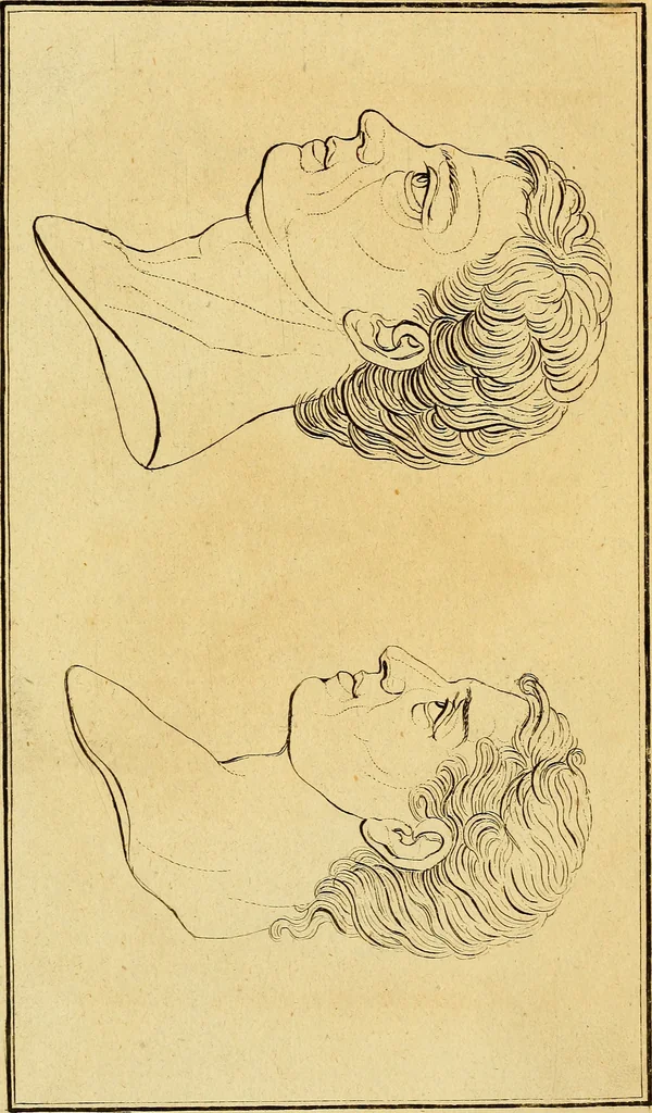 An illustration from Essays on physiognomy; calculated to extend the knowledge and the love of mankind, 1797, leaf 338