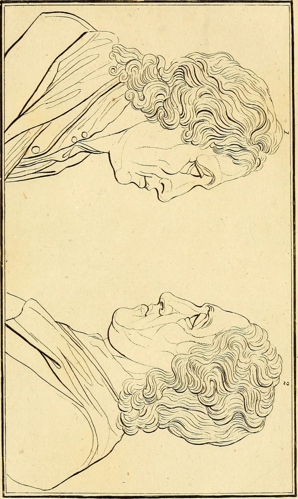 An illustration from Essays on physiognomy; calculated to extend the knowledge and the love of mankind, 1797, leaf 344