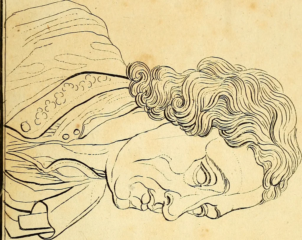 An illustration from Essays on physiognomy; calculated to extend the knowledge and the love of mankind, 1797, leaf 346