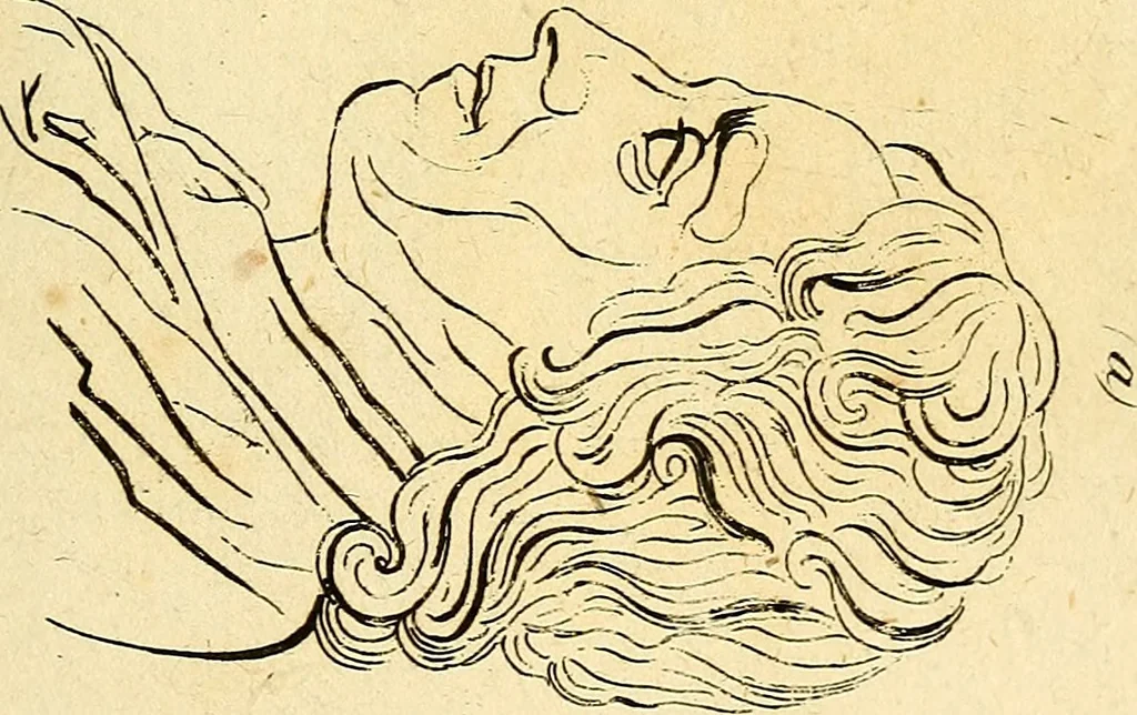 An illustration from Essays on physiognomy; calculated to extend the knowledge and the love of mankind, 1797, leaf 346