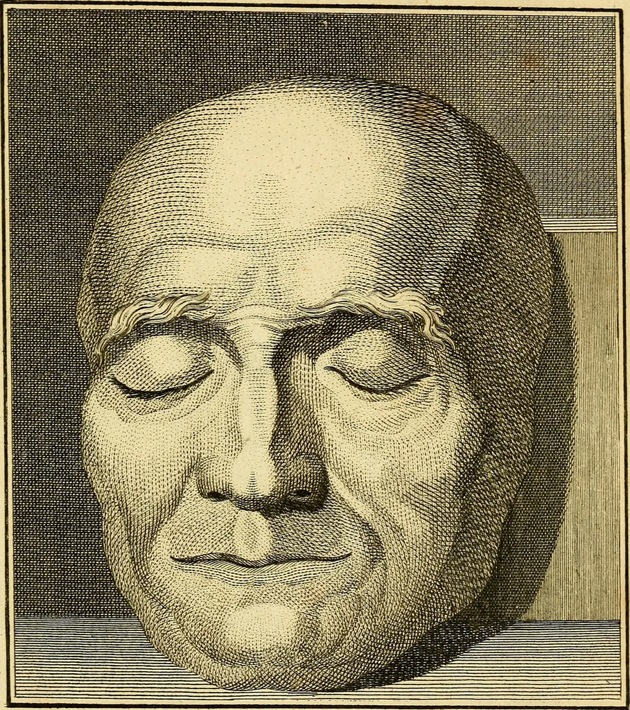An illustration from Essays on physiognomy; calculated to extend the knowledge and the love of mankind, 1797, leaf 360