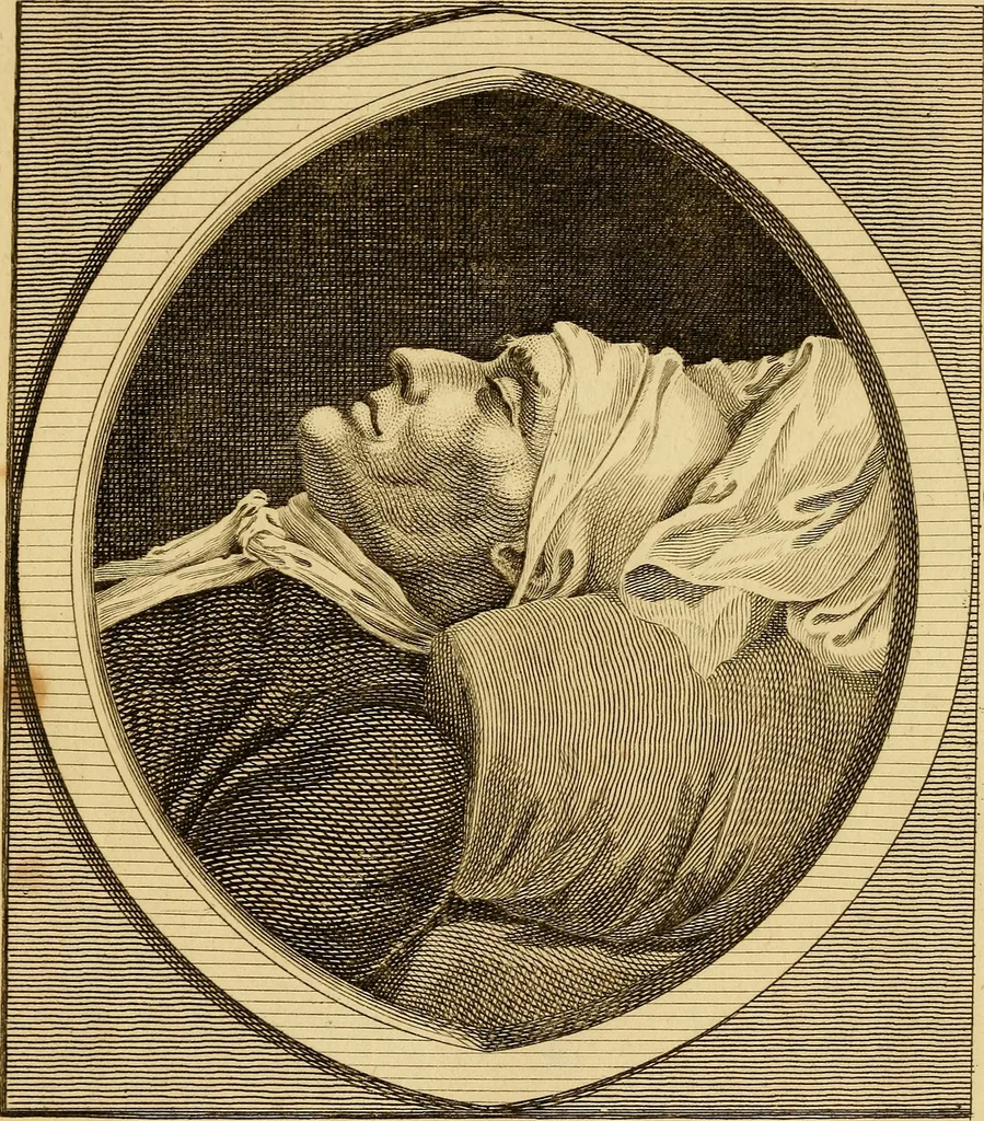 An illustration from Essays on physiognomy; calculated to extend the knowledge and the love of mankind, 1797, leaf 365