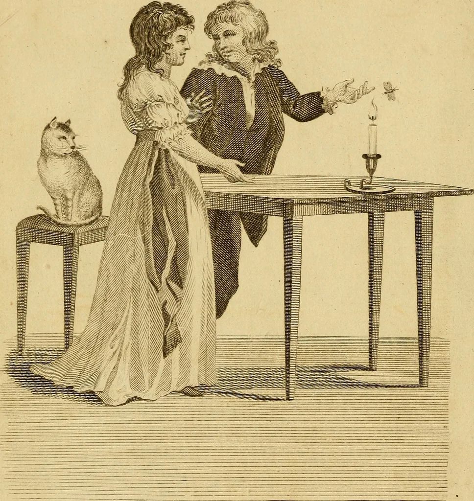 An illustration from Essays on physiognomy; calculated to extend the knowledge and the love of mankind, 1797, leaf 9