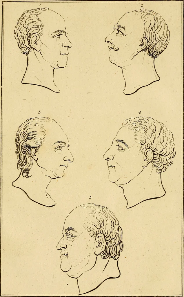 An illustration from Essays on physiognomy; calculated to extend the knowledge and the love of mankind, 1797, leaf 95