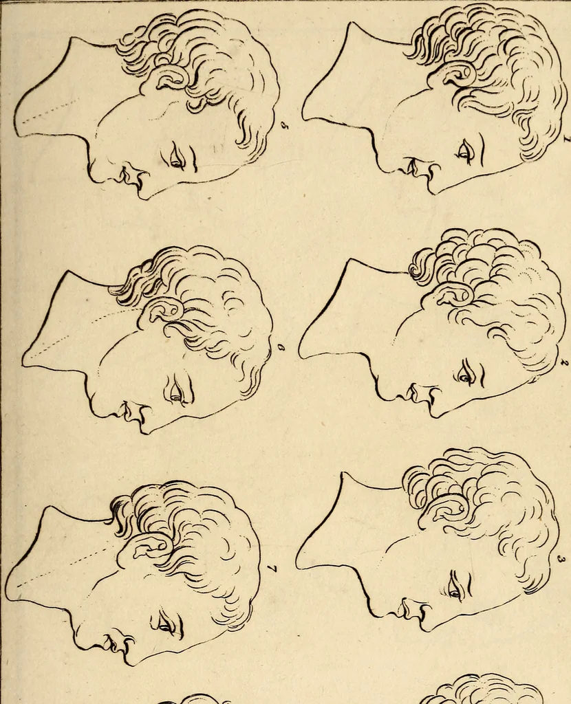 An illustration from Essays on physiognomy; calculated to extend the knowledge and the love of mankind, 1797, leaf 100