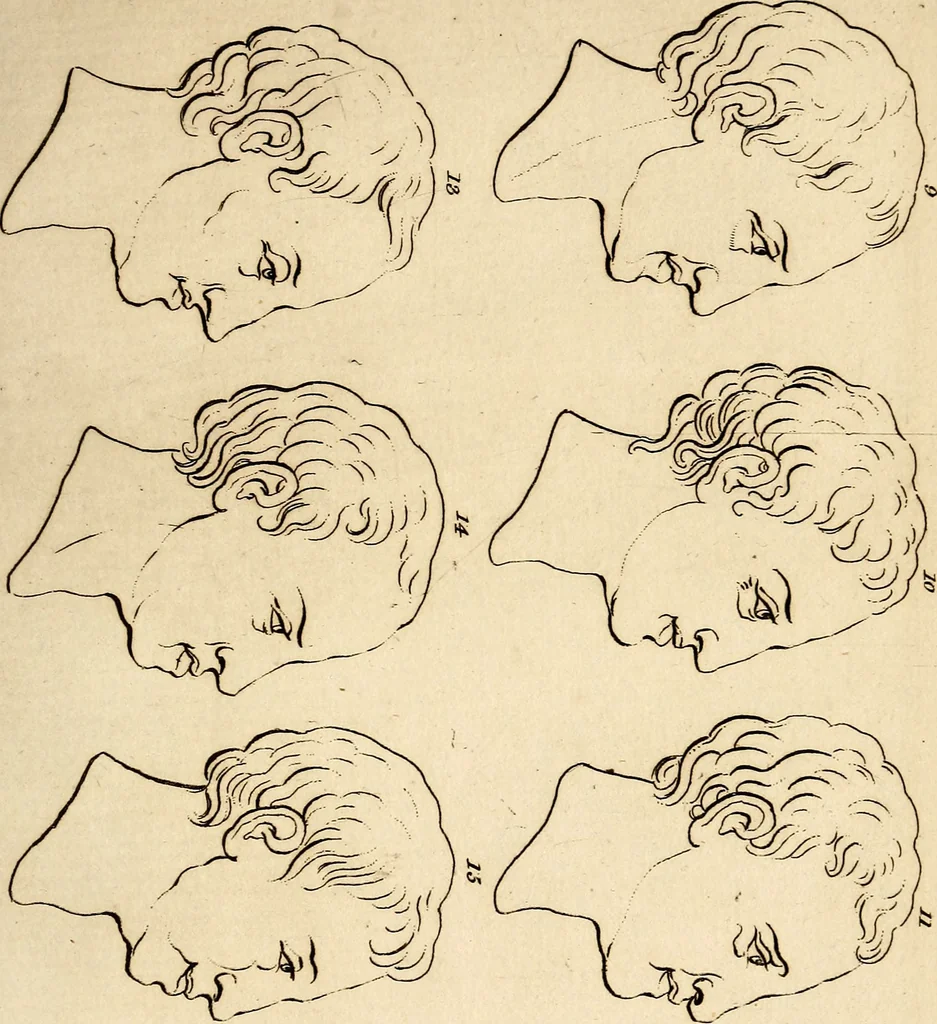 An illustration from Essays on physiognomy; calculated to extend the knowledge and the love of mankind, 1797, leaf 102