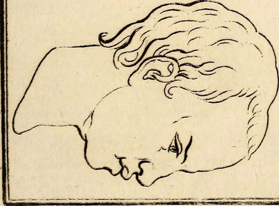 An illustration from Essays on physiognomy; calculated to extend the knowledge and the love of mankind, 1797, leaf 102
