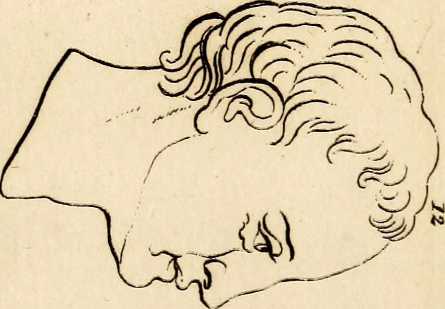 An illustration from Essays on physiognomy; calculated to extend the knowledge and the love of mankind, 1797, leaf 102