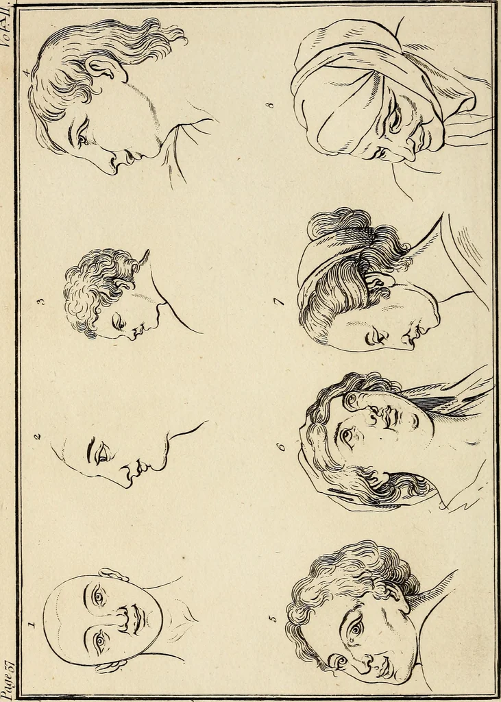 An illustration from Essays on physiognomy; calculated to extend the knowledge and the love of mankind, 1797, leaf 105