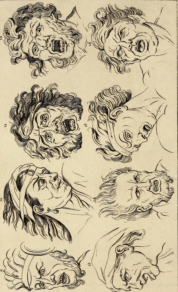 An illustration from Essays on physiognomy; calculated to extend the knowledge and the love of mankind, 1797, leaf 113