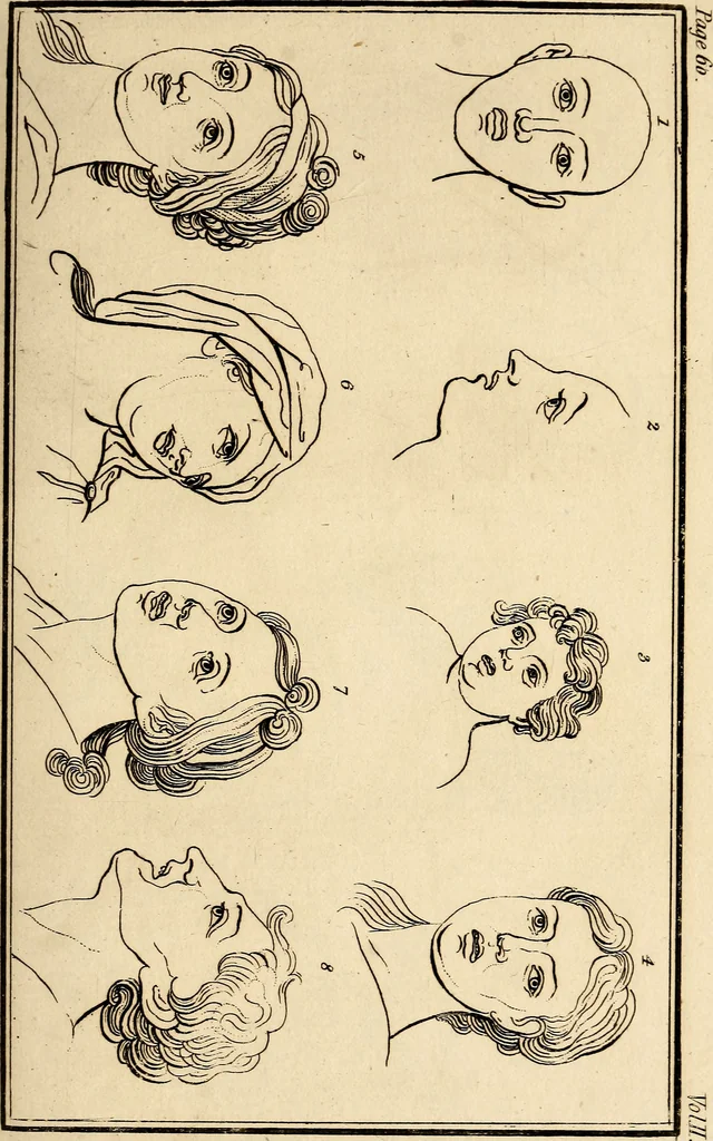An illustration from Essays on physiognomy; calculated to extend the knowledge and the love of mankind, 1797, leaf 116