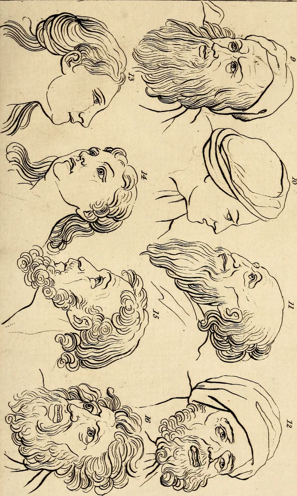 An illustration from Essays on physiognomy; calculated to extend the knowledge and the love of mankind, 1797, leaf 118