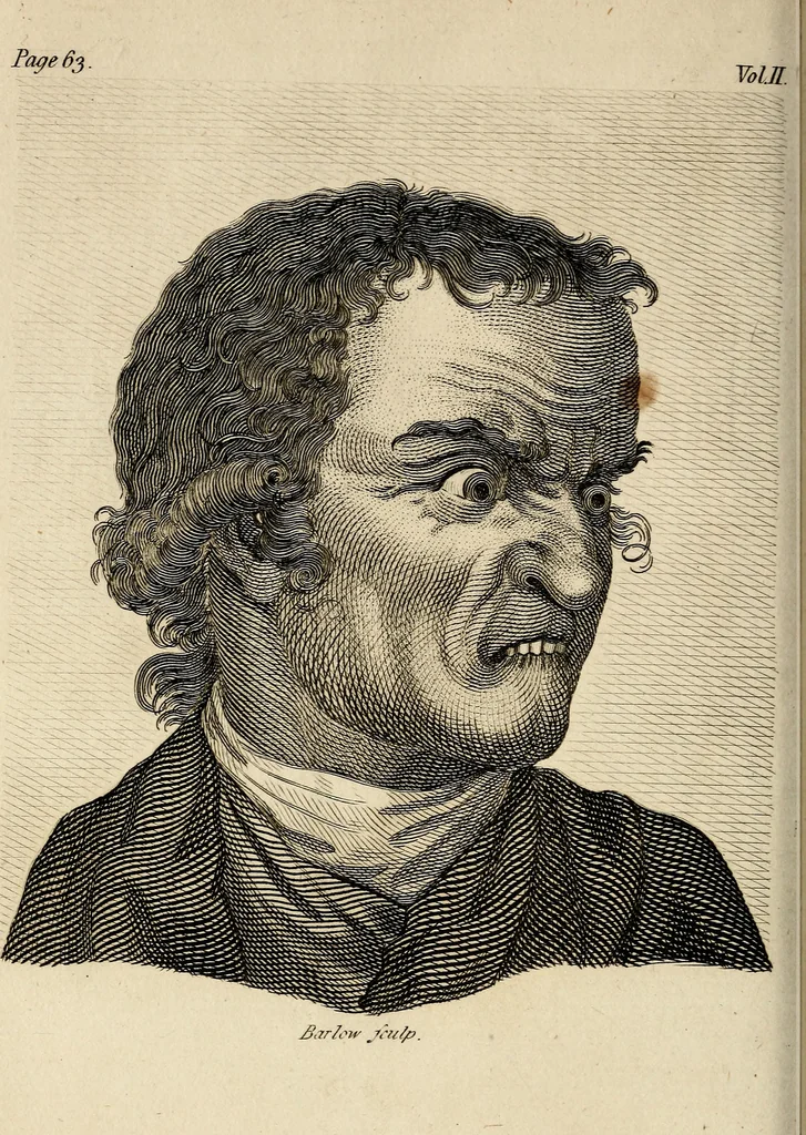 An illustration from Essays on physiognomy; calculated to extend the knowledge and the love of mankind, 1797, leaf 129