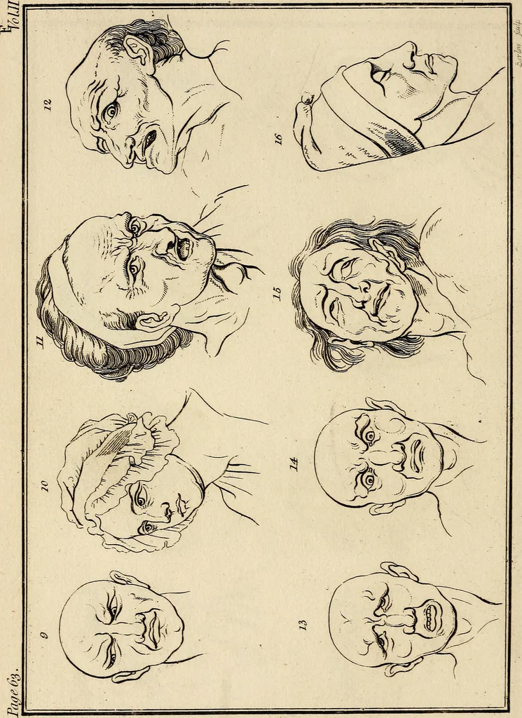 An illustration from Essays on physiognomy; calculated to extend the knowledge and the love of mankind, 1797, leaf 133