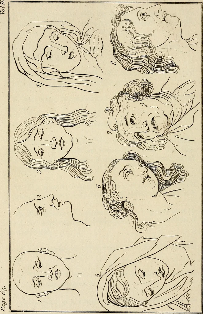 An illustration from Essays on physiognomy; calculated to extend the knowledge and the love of mankind, 1797, leaf 137