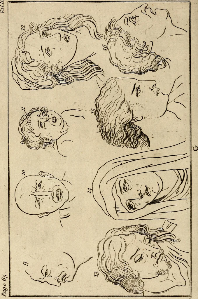 An illustration from Essays on physiognomy; calculated to extend the knowledge and the love of mankind, 1797, leaf 139