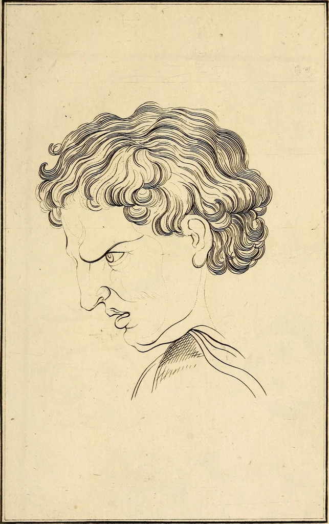 An illustration from Essays on physiognomy; calculated to extend the knowledge and the love of mankind, 1797, leaf 142