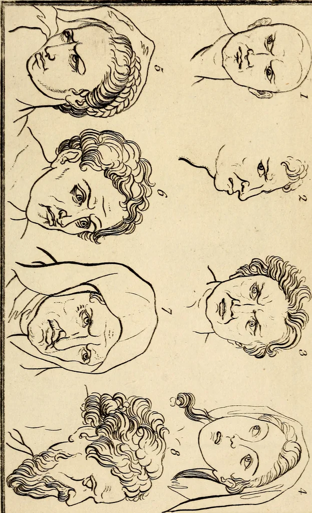 An illustration from Essays on physiognomy; calculated to extend the knowledge and the love of mankind, 1797, leaf 144