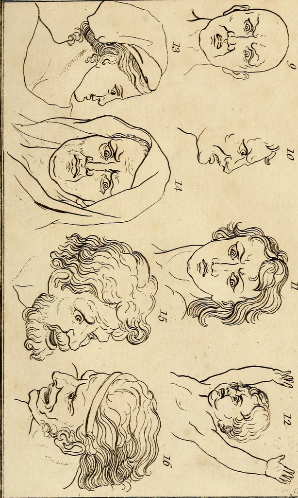 An illustration from Essays on physiognomy; calculated to extend the knowledge and the love of mankind, 1797, leaf 146