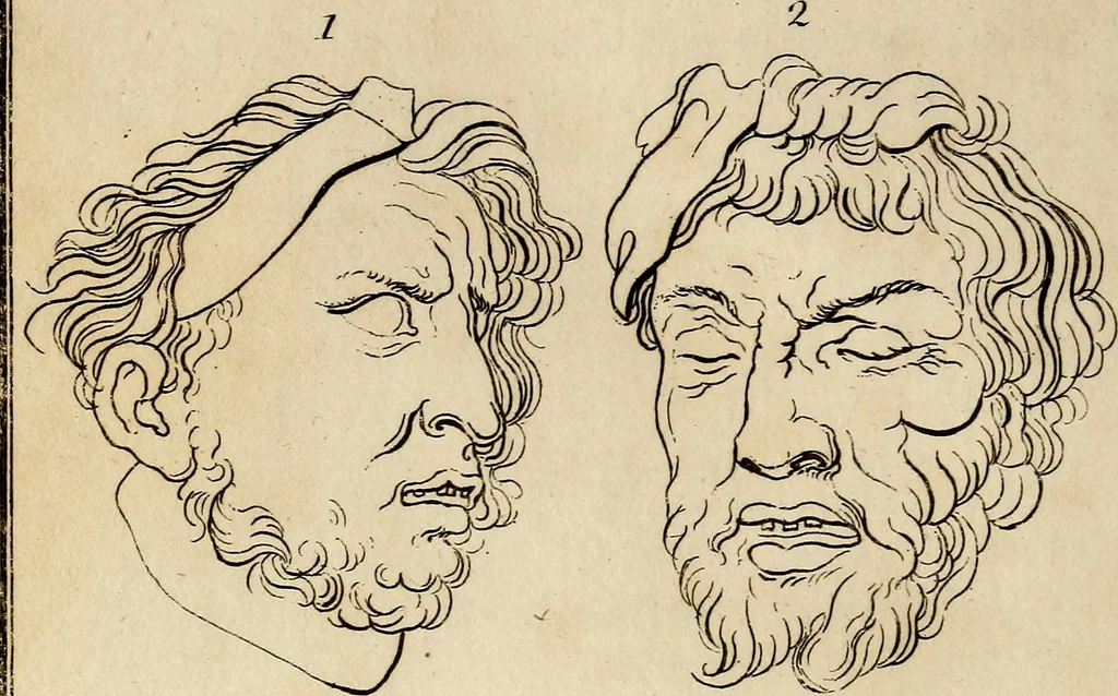 An illustration from Essays on physiognomy; calculated to extend the knowledge and the love of mankind, 1797, leaf 155