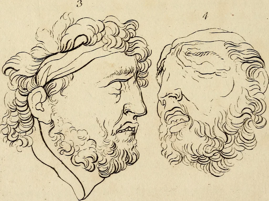 An illustration from Essays on physiognomy; calculated to extend the knowledge and the love of mankind, 1797, leaf 155