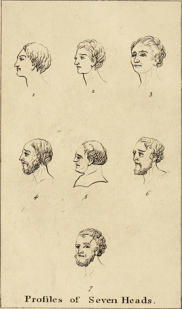 An illustration from Essays on physiognomy; calculated to extend the knowledge and the love of mankind, 1797, leaf 161