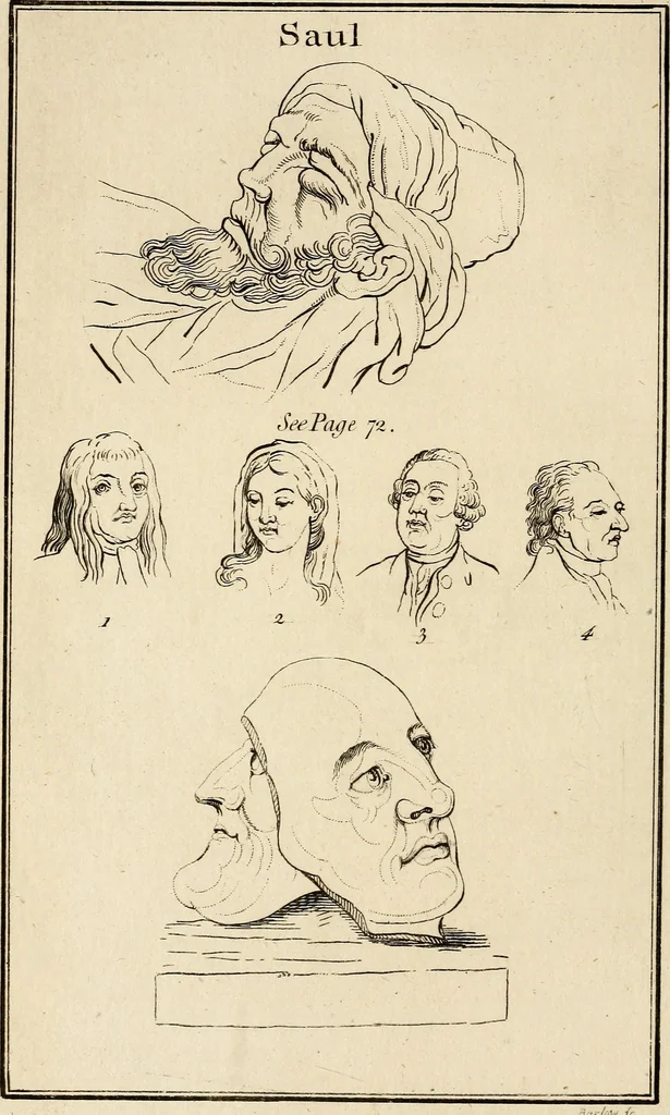 An illustration from Essays on physiognomy; calculated to extend the knowledge and the love of mankind, 1797, leaf 167