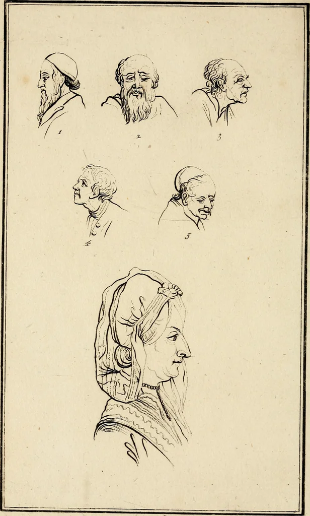 An illustration from Essays on physiognomy; calculated to extend the knowledge and the love of mankind, 1797, leaf 179