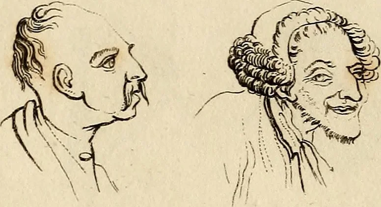 An illustration from Essays on physiognomy; calculated to extend the knowledge and the love of mankind, 1797, leaf 181