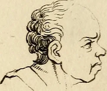 An illustration from Essays on physiognomy; calculated to extend the knowledge and the love of mankind, 1797, leaf 181
