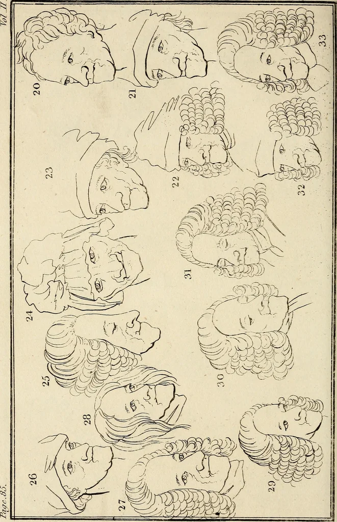 An illustration from Essays on physiognomy; calculated to extend the knowledge and the love of mankind, 1797, leaf 197
