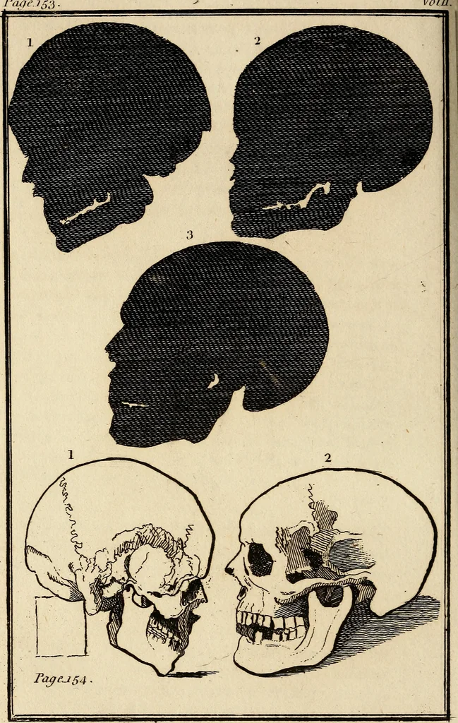 An illustration from Essays on physiognomy; calculated to extend the knowledge and the love of mankind, 1797, leaf 309