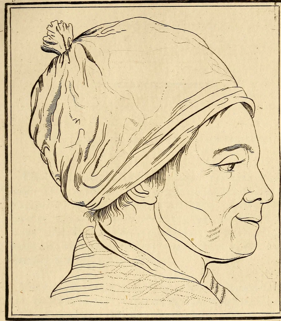 An illustration from Essays on physiognomy; calculated to extend the knowledge and the love of mankind, 1797, leaf 32