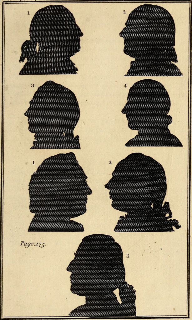 An illustration from Essays on physiognomy; calculated to extend the knowledge and the love of mankind, 1797, leaf 338