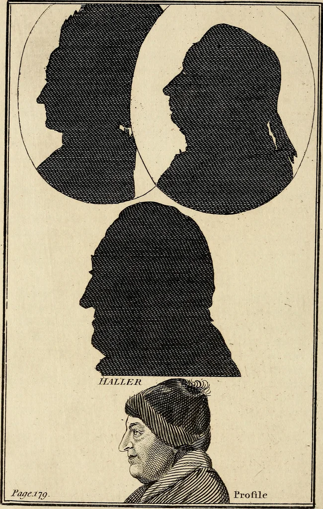 An illustration from Essays on physiognomy; calculated to extend the knowledge and the love of mankind, 1797, leaf 343