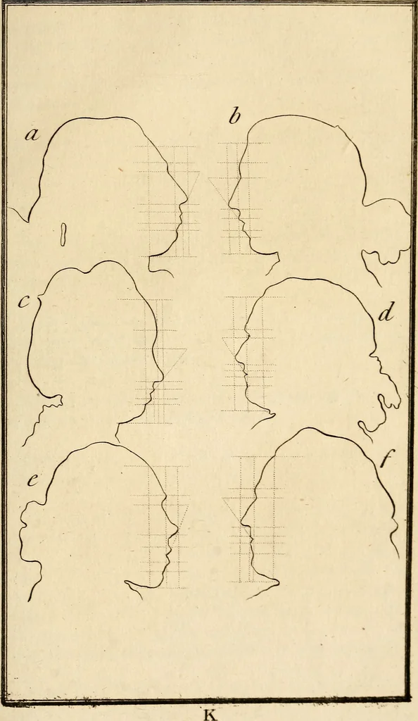 An illustration from Essays on physiognomy; calculated to extend the knowledge and the love of mankind, 1797, leaf 352