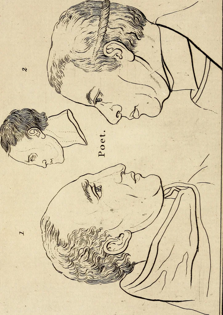An illustration from Essays on physiognomy; calculated to extend the knowledge and the love of mankind, 1797, leaf 39