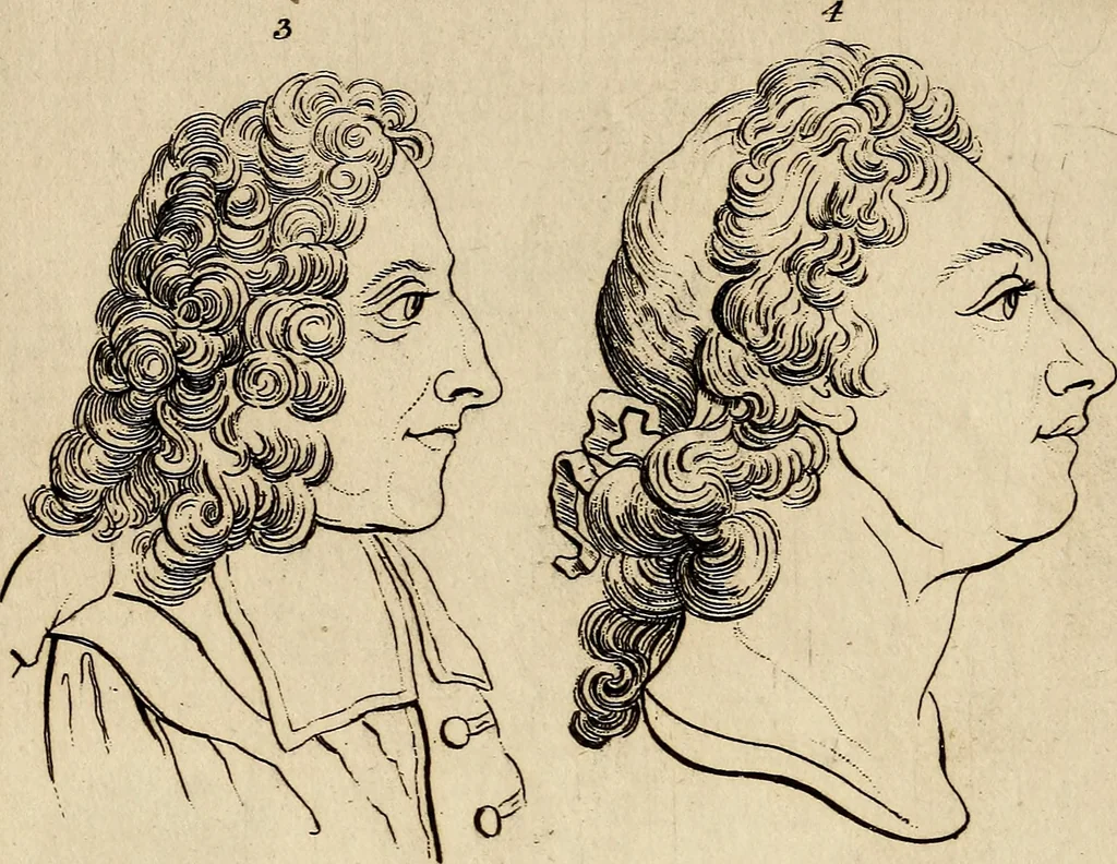 An illustration from Essays on physiognomy; calculated to extend the knowledge and the love of mankind, 1797, leaf 41