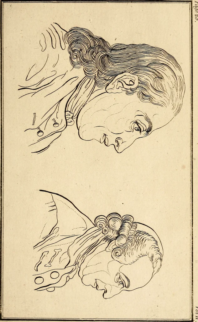 An illustration from Essays on physiognomy; calculated to extend the knowledge and the love of mankind, 1797, leaf 44