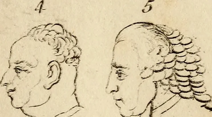 An illustration from Essays on physiognomy; calculated to extend the knowledge and the love of mankind, 1797, leaf 47