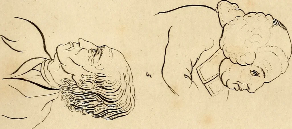 An illustration from Essays on physiognomy; calculated to extend the knowledge and the love of mankind, 1797, leaf 52