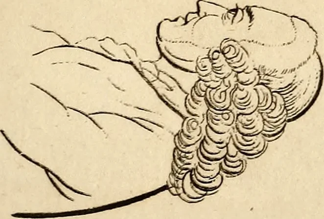 An illustration from Essays on physiognomy; calculated to extend the knowledge and the love of mankind, 1797, leaf 52